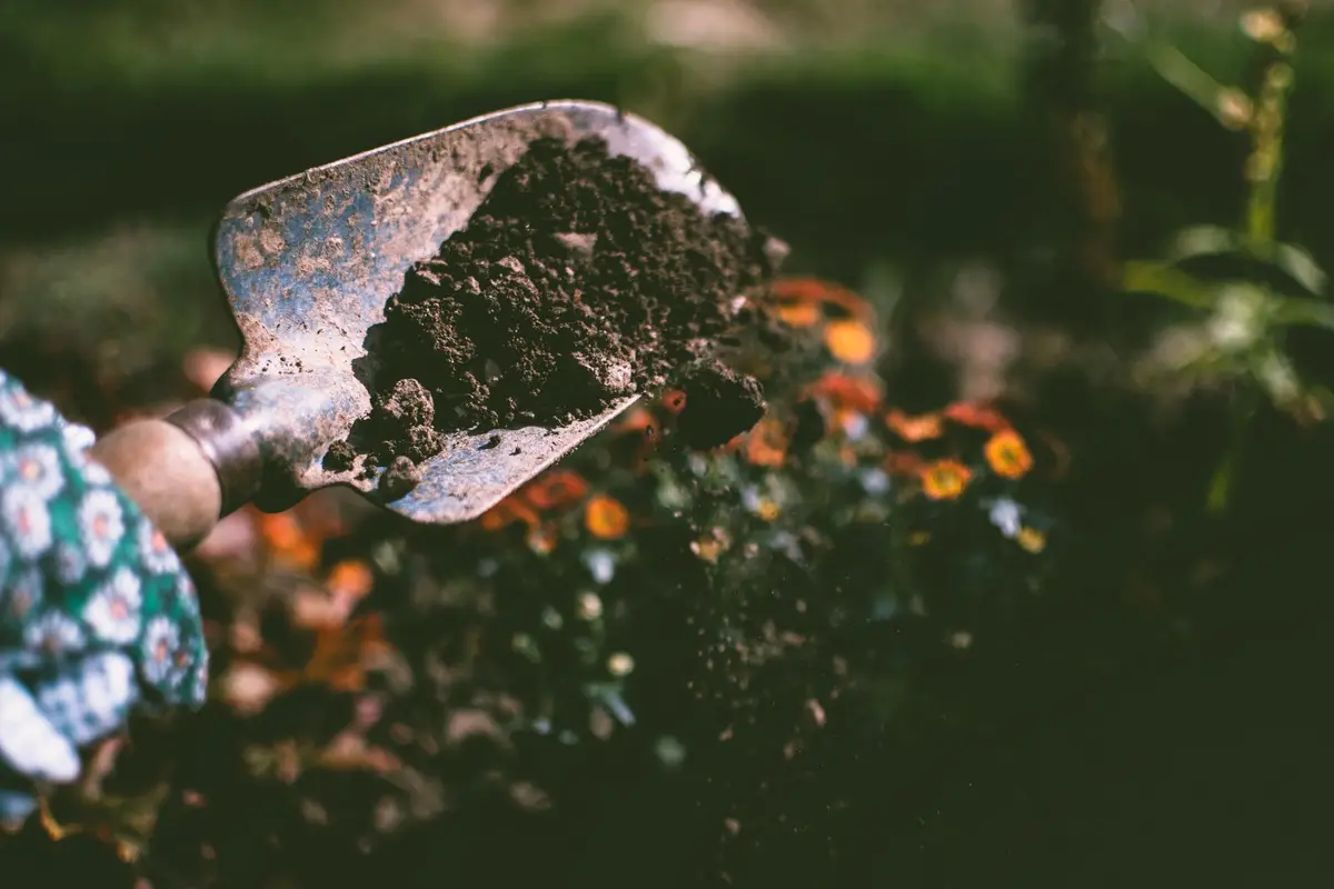 A garden trowel lifting soil.